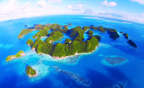 Paradis øy